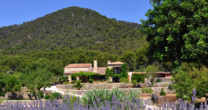 Venta directa de villa rústica de lujo en Alaró